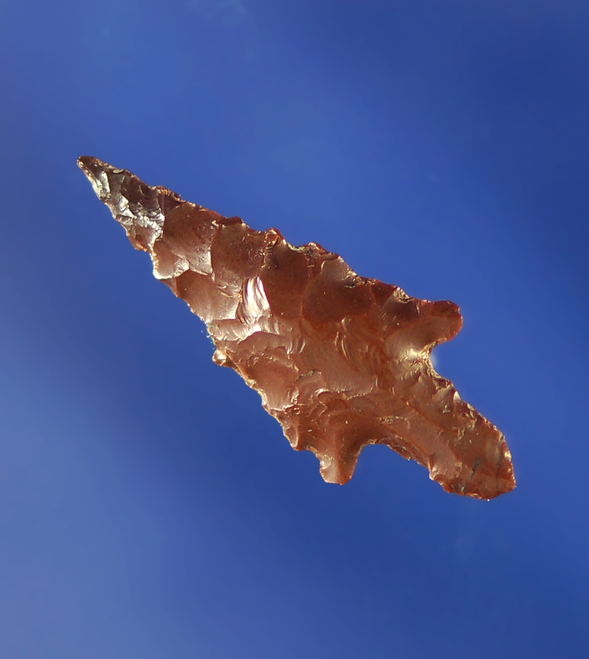 1" brown Jasper Rabbit Island in good condition.    Columbia River.