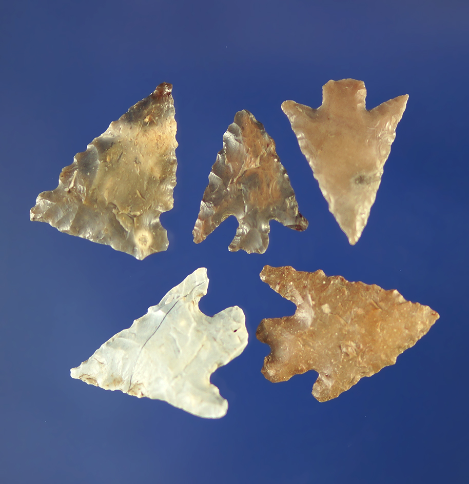 Set of five assorted arrowheads, largest is 11/16".    Columbia River.