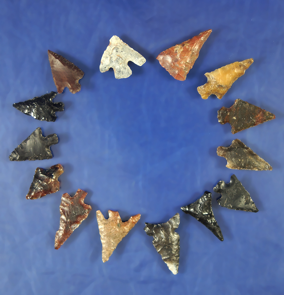 Group of 14 assorted arrowheads, largest is 7/8".    Columbia River.