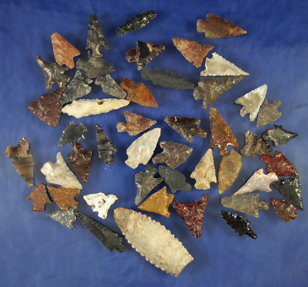 Group of 48 assorted arrowheads in various conditions, largest is 1 5/16".    Columbia River.