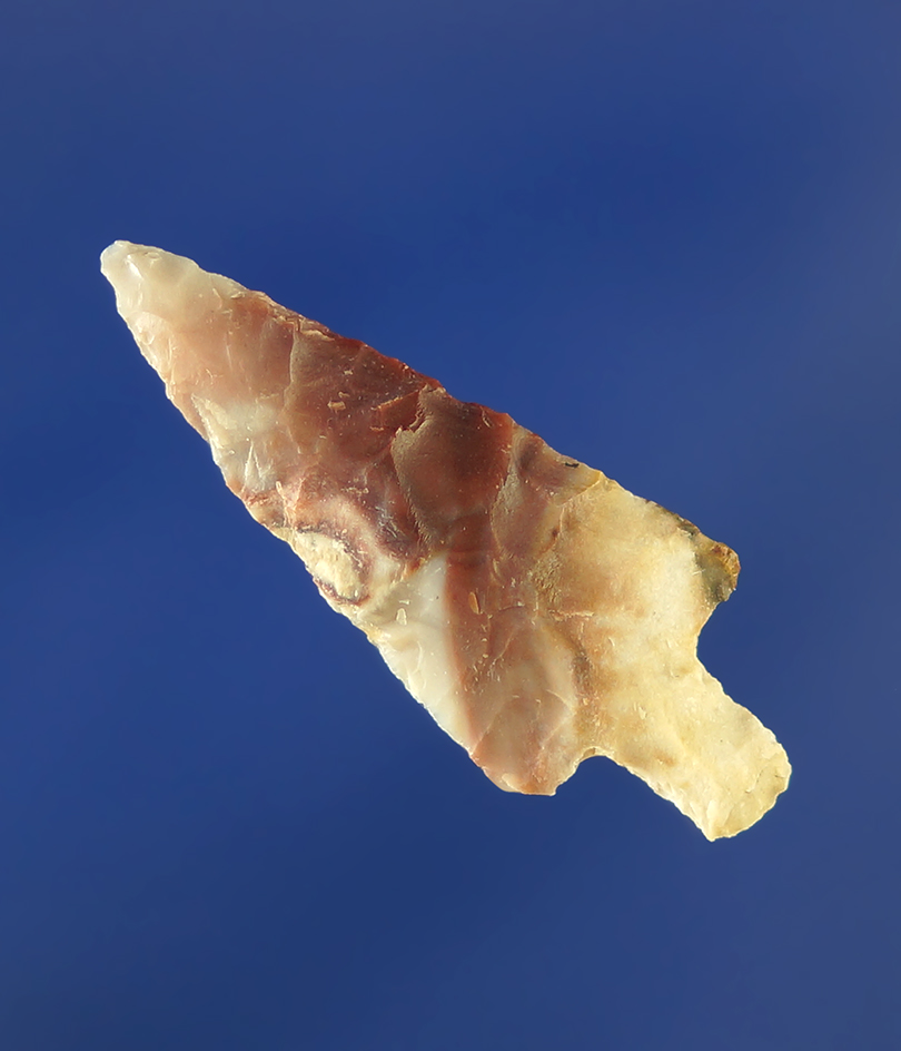 1 1/8" Wallula made from beautifully colored Flint. Nice style, well flaked.    Columbia River.