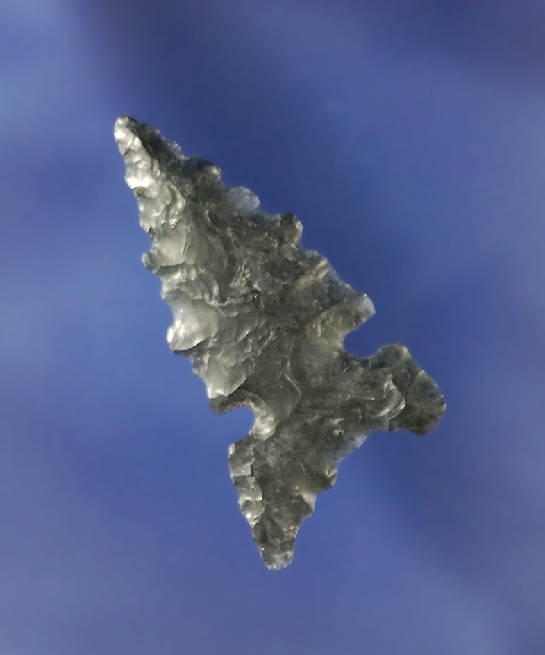 1 1/2" Northern Sidenotch made from obsidian found near Fort Rock Oregon. Nicely serrated.