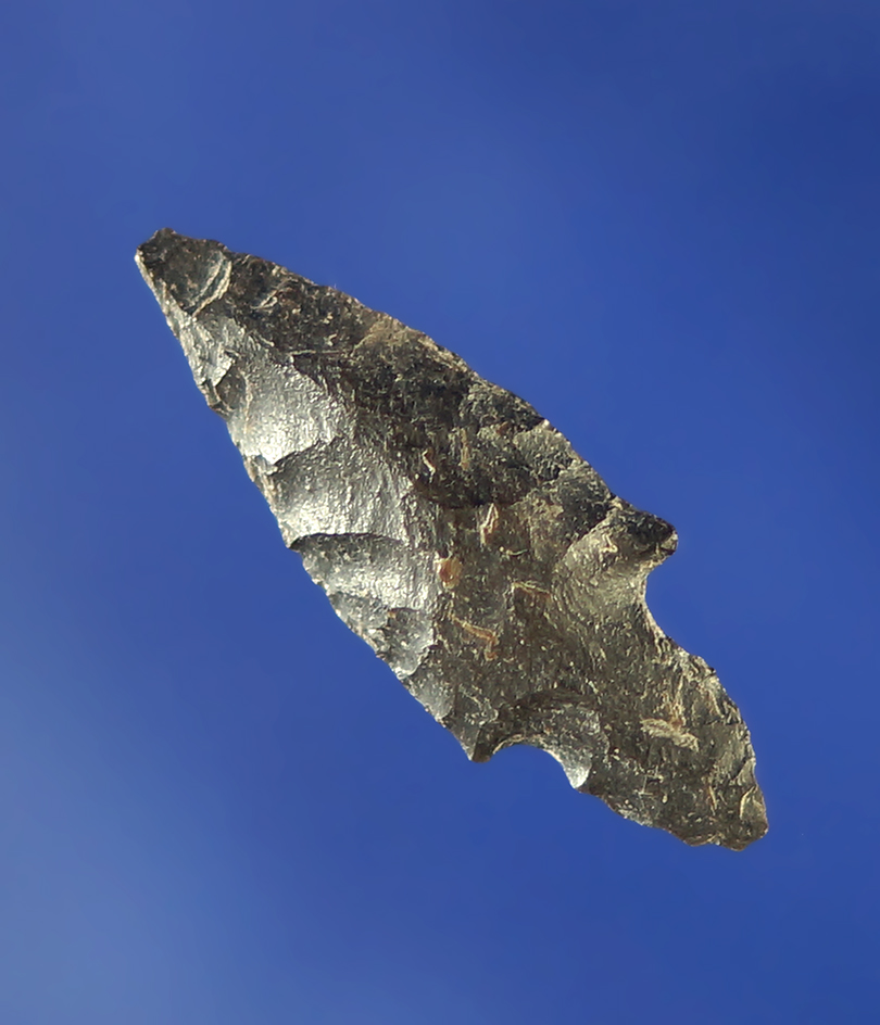 7/8" Dagger    Columbia River.