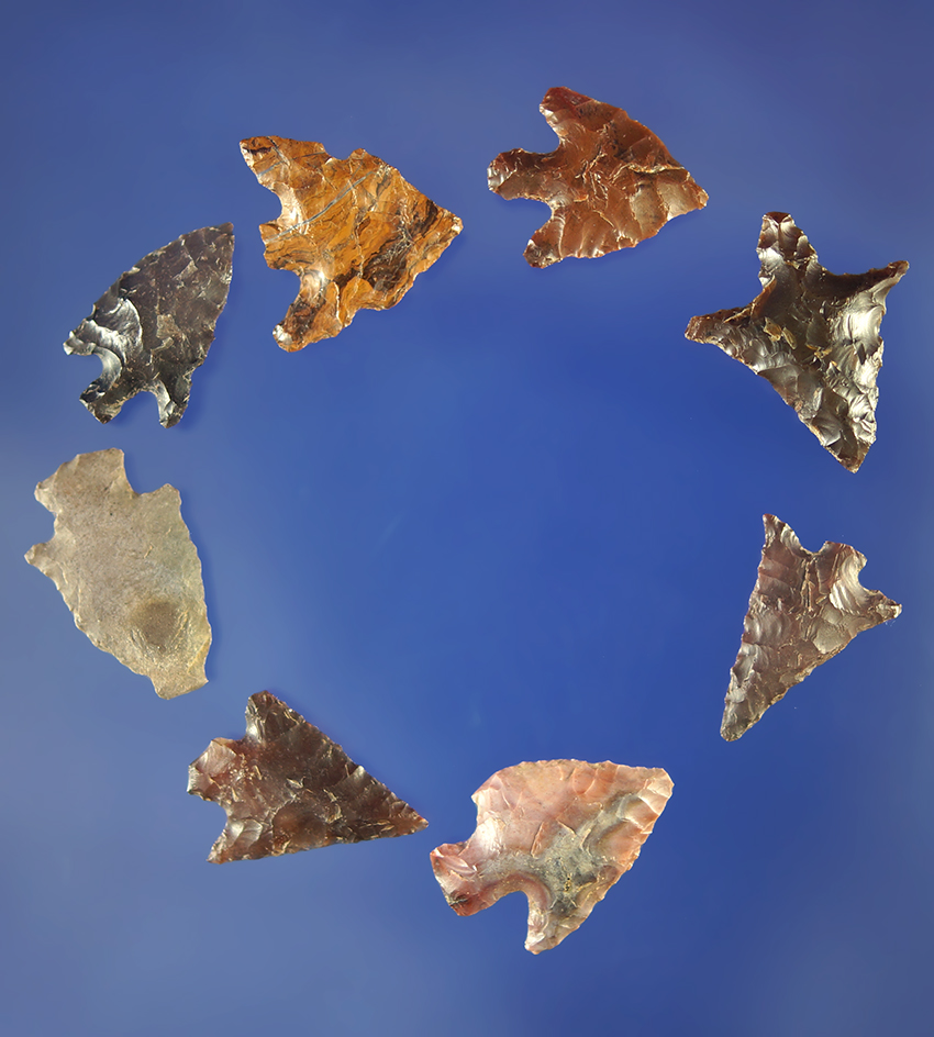 set of eight assorted Columbia River arrowheads. Largest is 3/4".    Columbia River.
