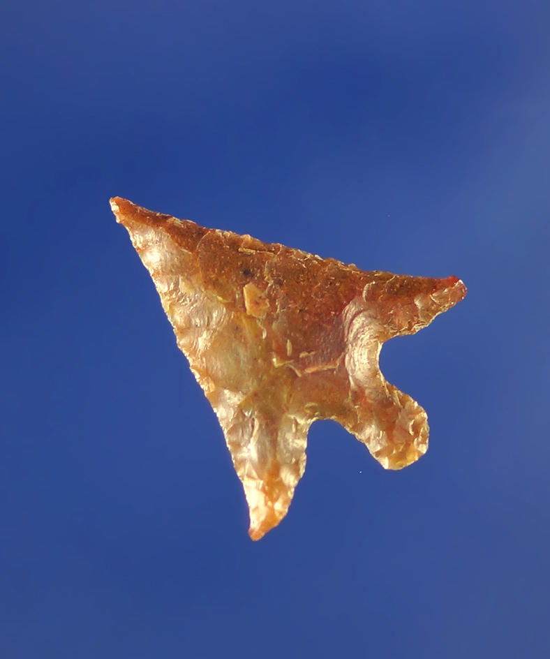 3/4" Columbia Plateau with nice swept wings made from quality material.    Columbia River.