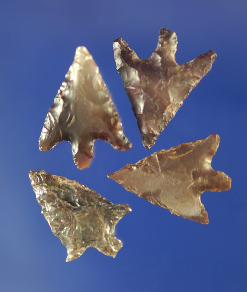 Set of four stemmed arrowheads, largest is 11/16".    Columbia River.