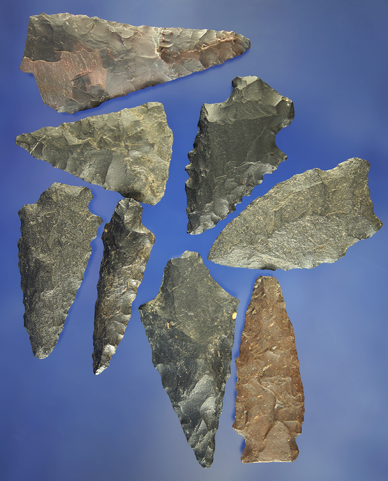 Set of eight arrowheads made from basalt, largest is 2".    Columbia River.
