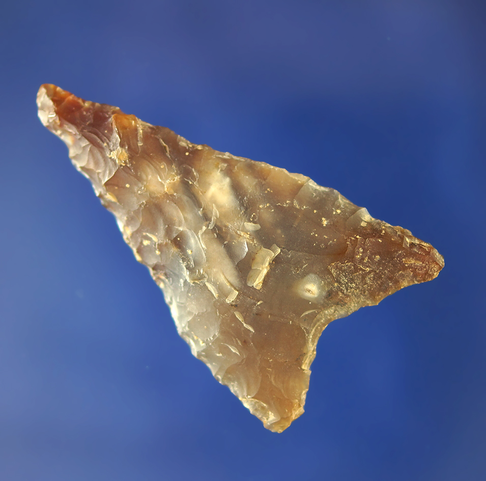 1 15/16" Columbia Mule Ear made from highly translucent Agatized Wood.    Columbia River.