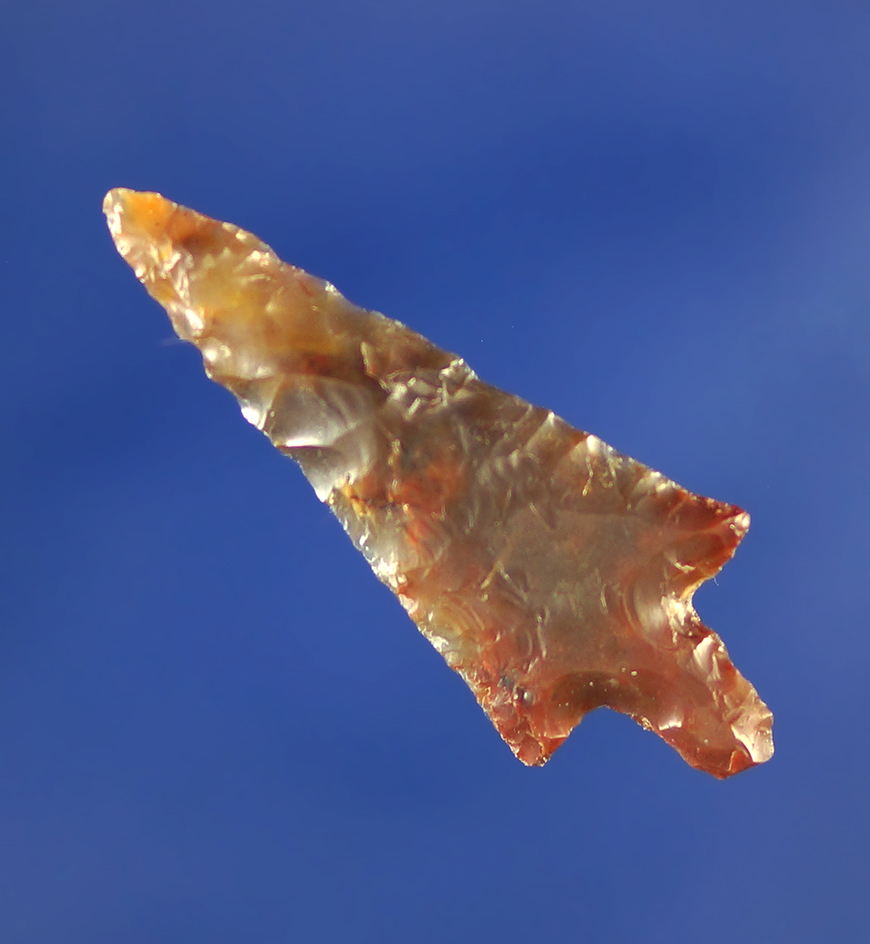 1 5/16" Rabbit Island that is well flaked from high-quality nicely translucent multicolored agate.