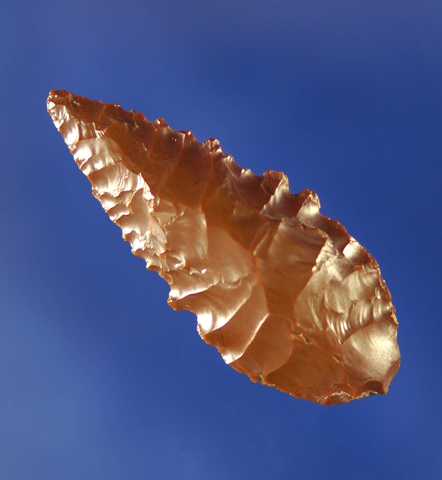 Nicely serrated 1 5/16" glossy Jasper Leaf point.    Columbia River.