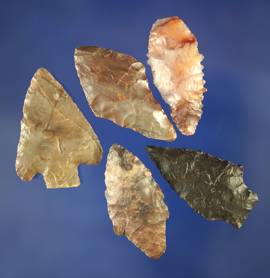 Group of five assorted arrowheads, largest is 1 5/16".     Columbia River.