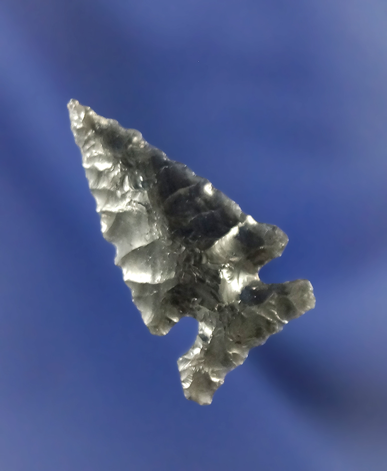 1 3/16" nicely patinated obsidian Desert Side Notch found near Fort Rock Oregon.