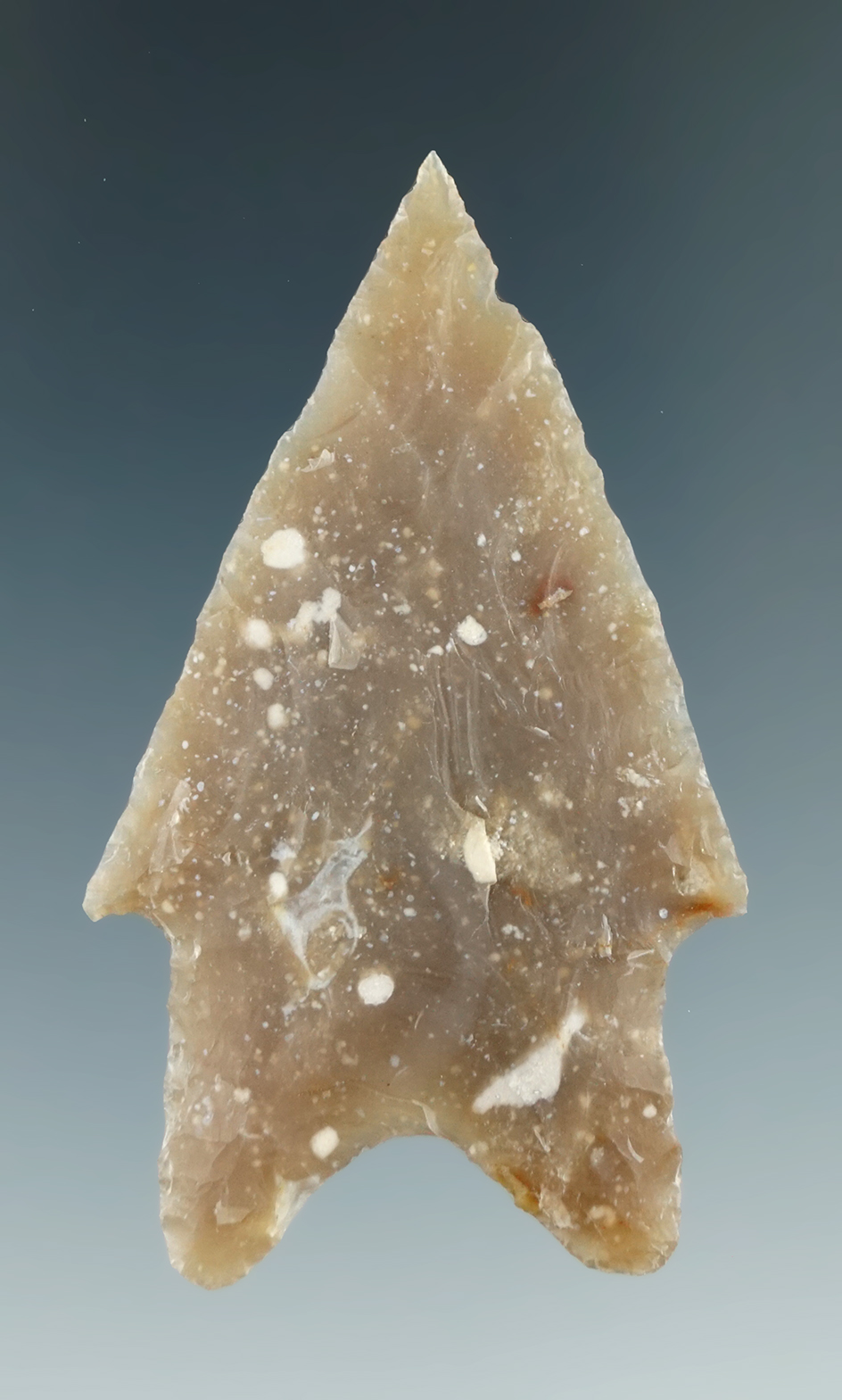 2 5/16" Pedernales point that is nicely flaked from high quality material found in Texas.