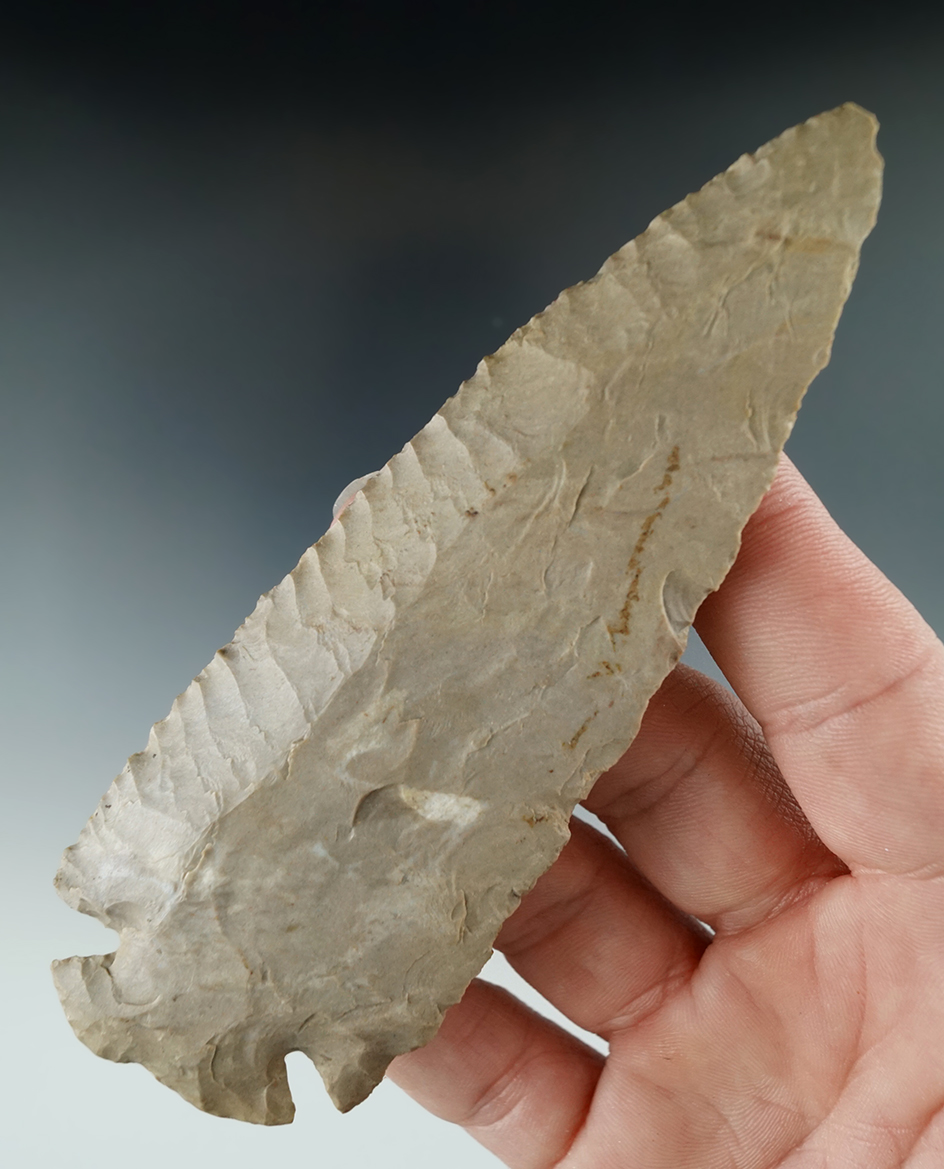 4 9/16" Dovetail - Fort Payne Chert - Butler Co., Kentucky. Rogers and Perino COAs