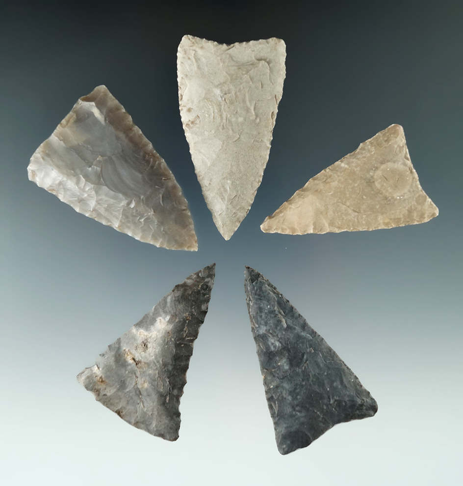 Set of five Tortugas points found in Texas, largest is 2 3/8".