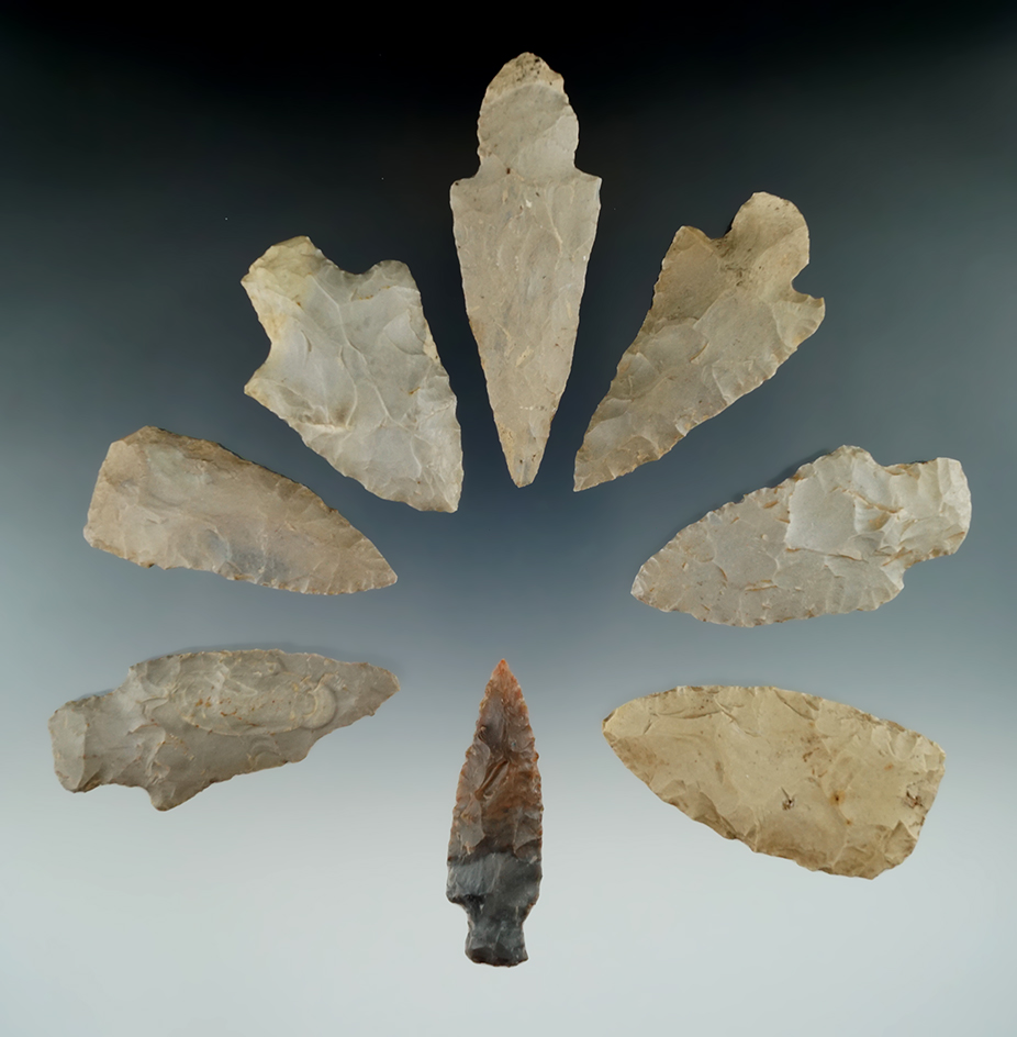 Group of Eight assorted Woodland Flaked artifacts found in Kentucky by Trency Scroggins.