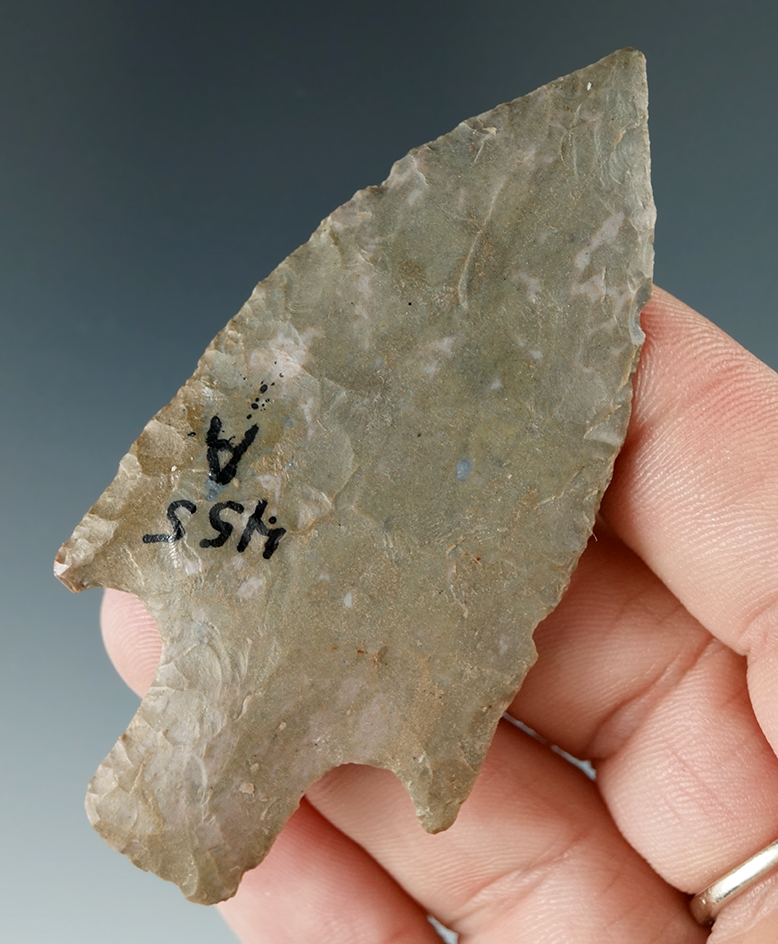 Thin and fine 2 3/4" Hornstone Buck Creek found in Kentucky. Ex. Jack Hooks, Irv Dougherty.