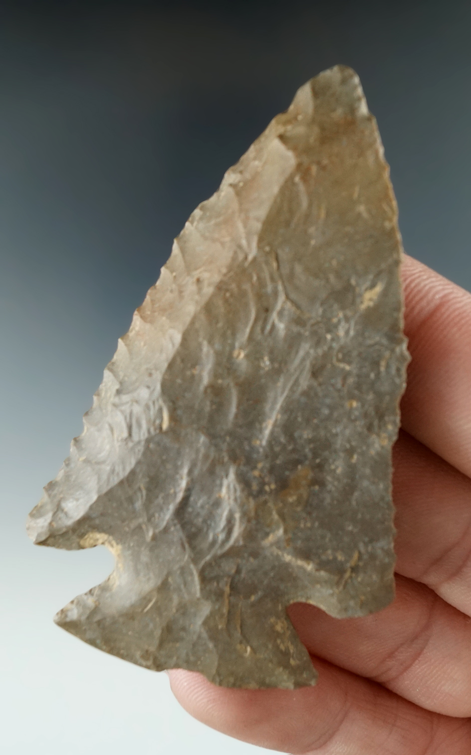 2 3/4" Dovetail made from Horse Creek Chert that is nicely beveled found in Tennessee. COA.