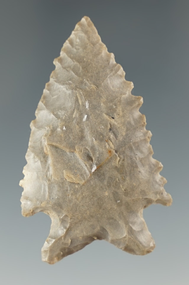 Excellent serrations on this 1 15/16" Cornernotch point found in Livingston County TN.