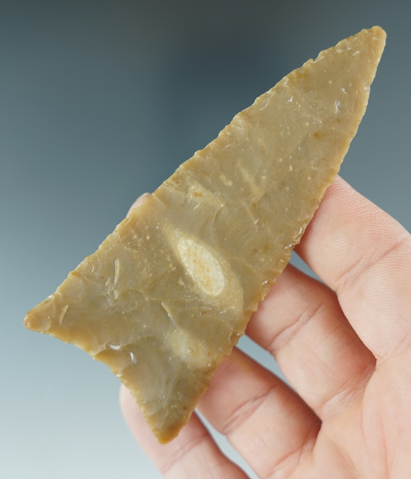 Thin and well made 3 5/8" Kinney found in Texas. Comes with a Davis G-9 COA.