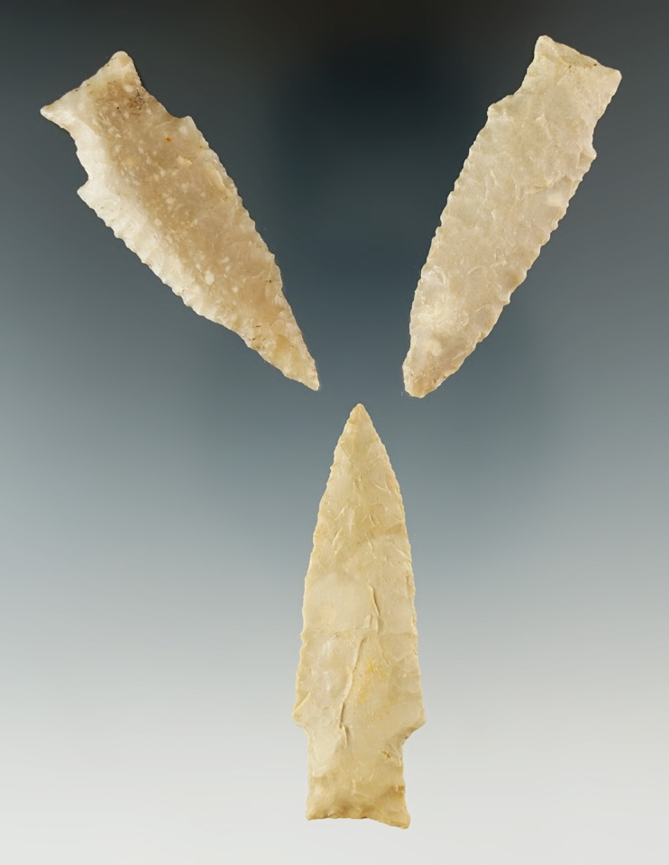 Three nice Darl points found in Texas, one has a perforator. Largest is 2 3/16".