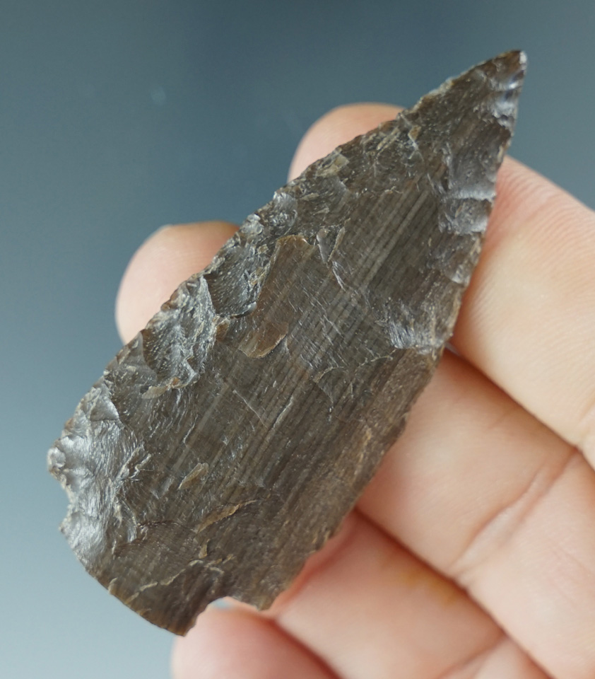 2 5/16" Petrified Wood Stemmed Dart Point found along the Columbia River, WA. COA