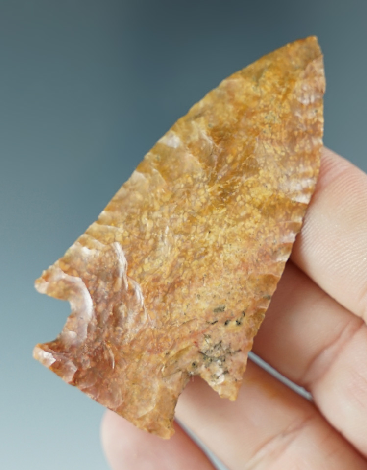 2 9/16" beautifully flaked Hardin Barbed found in Tipton County Tennessee.