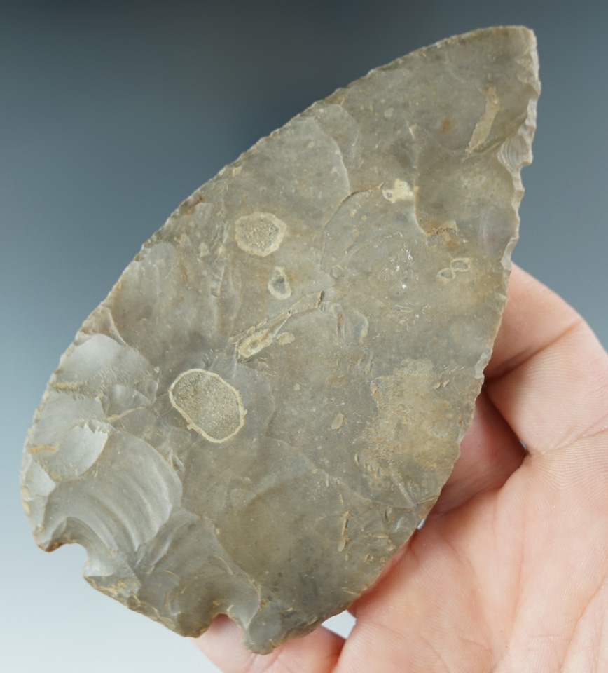 4 1/2" Base Tang Knife - authentic blade that exhibits modern rechipping. Davis COA.