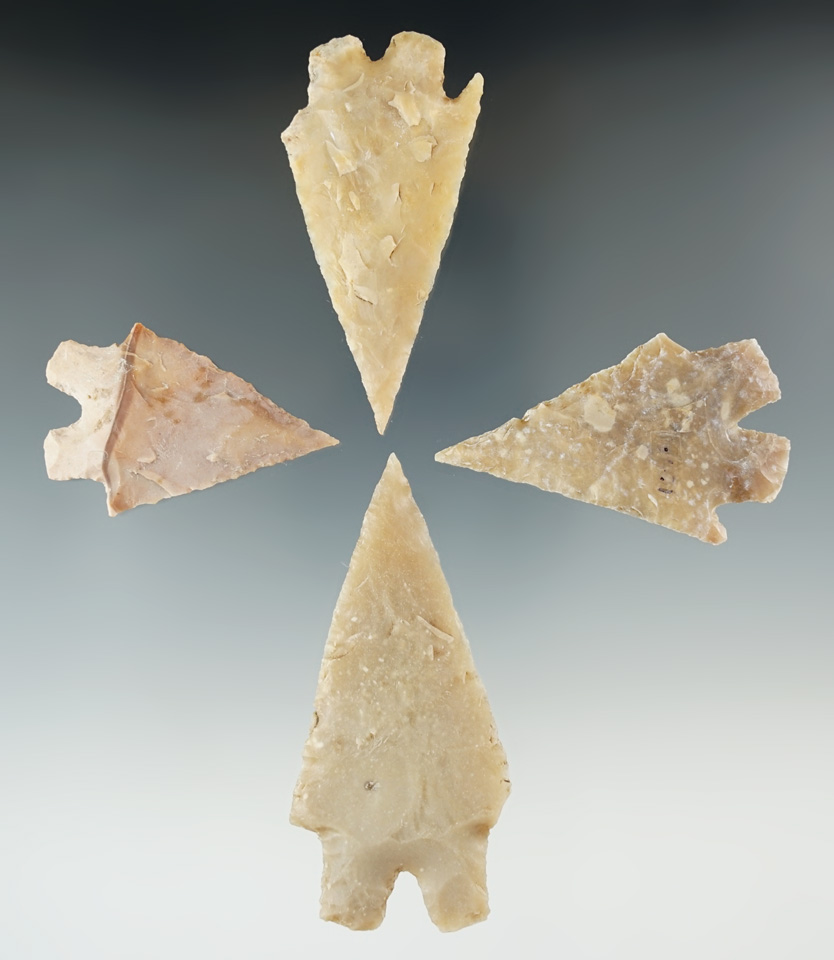 Set of four Montell points found in Texas, largest is 3 1/16".