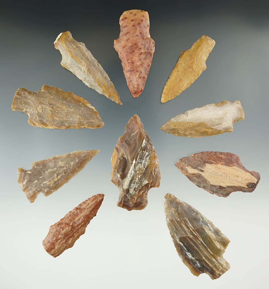 Set of 10 assorted petrified wood points found in Texas, largest is 2 1/2".