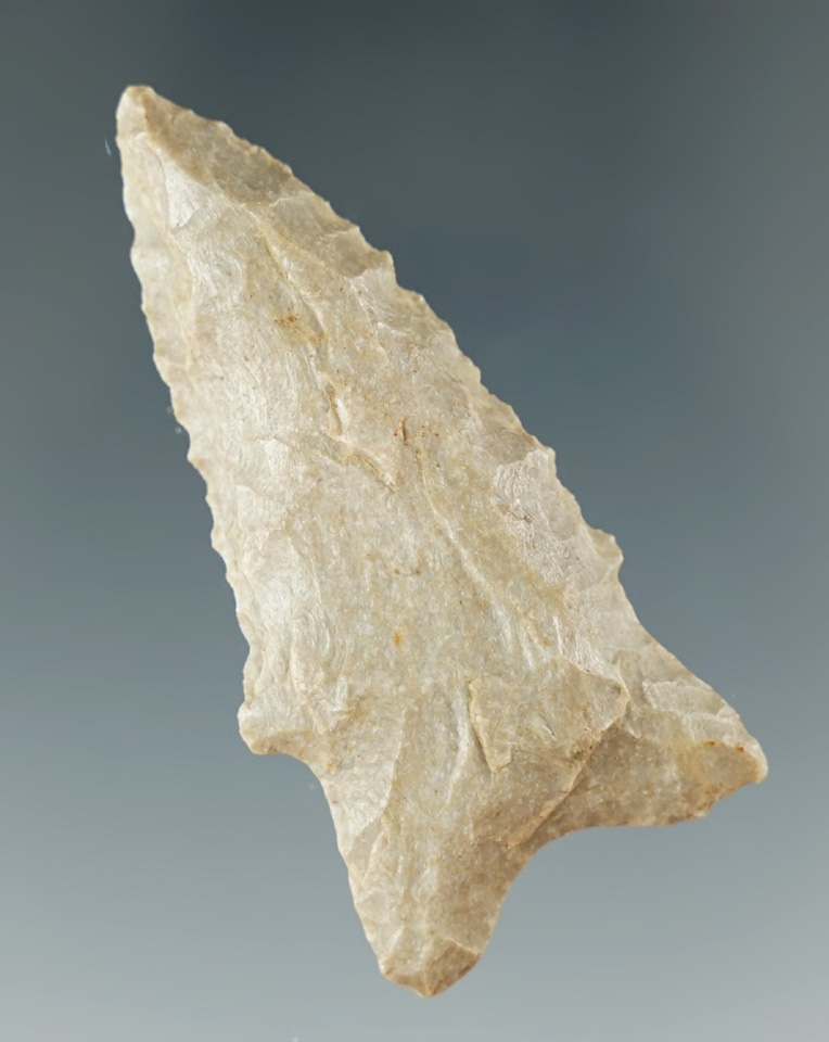 2 1/16" Hornstone Dalton found in Christian Co., Kentucky. Comes with a Partain COA.