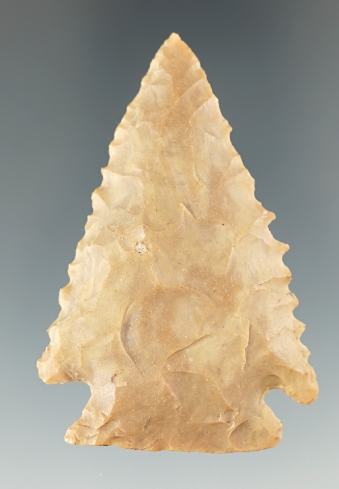 2 5/16" nicely serrated Archaic Cornernotch found in Boyle County Kentucky.