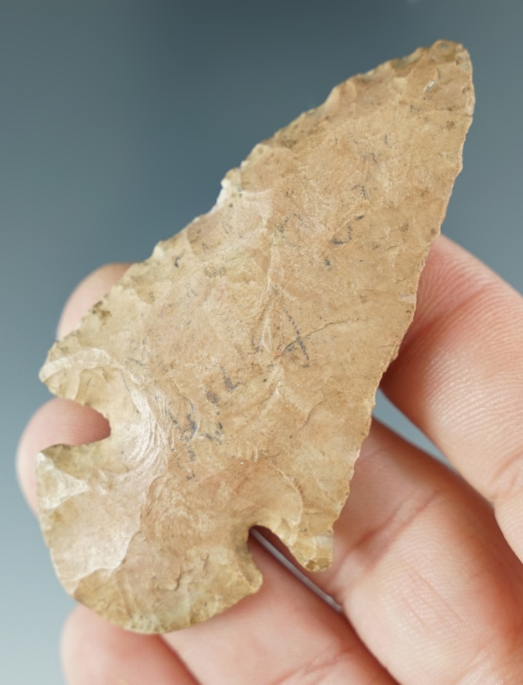 Steeply beveled 2 3/4" Dovetail found in Wayne County Tennessee.