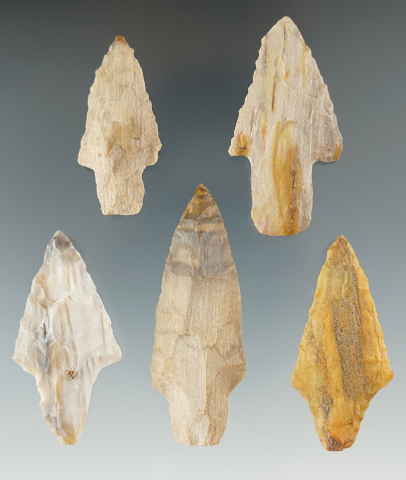 Set of five points made from petrified wood found in the Texas/Louisiana area.