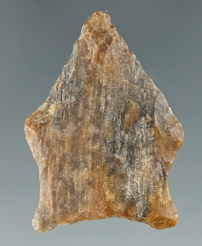 1 1/4" San Patrice found in Polk Co., Texas, made from Agatized Wood.  COA.