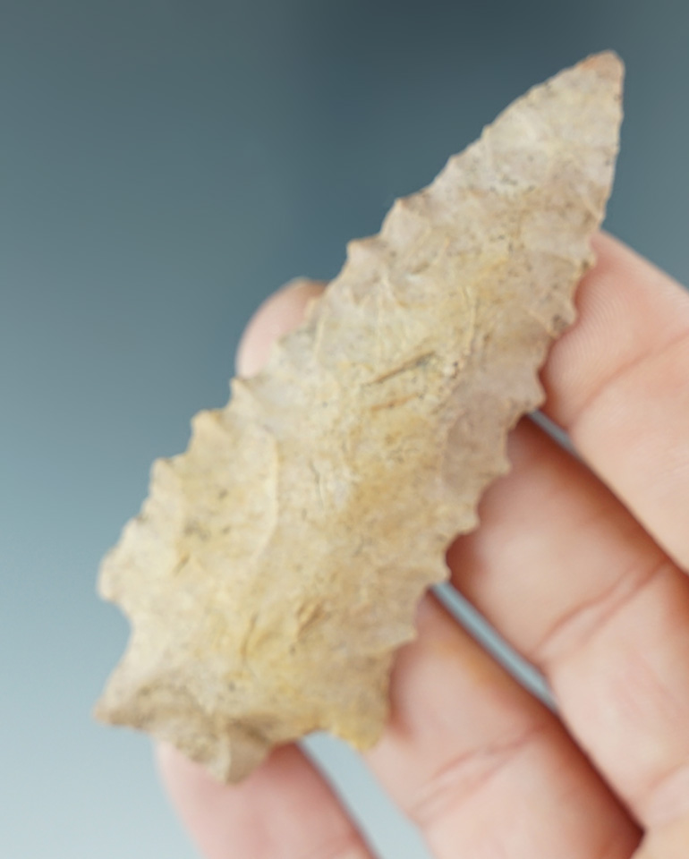 2 15/16" classic style serrated Kirk found in Kentucky.