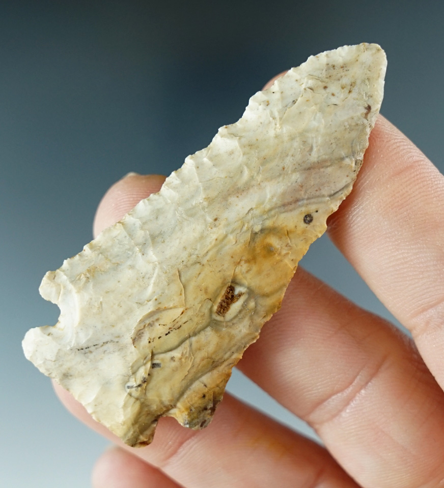 2 7/16" Stilwell made from Petrified Wood, found in Illinois. 2 COA's.