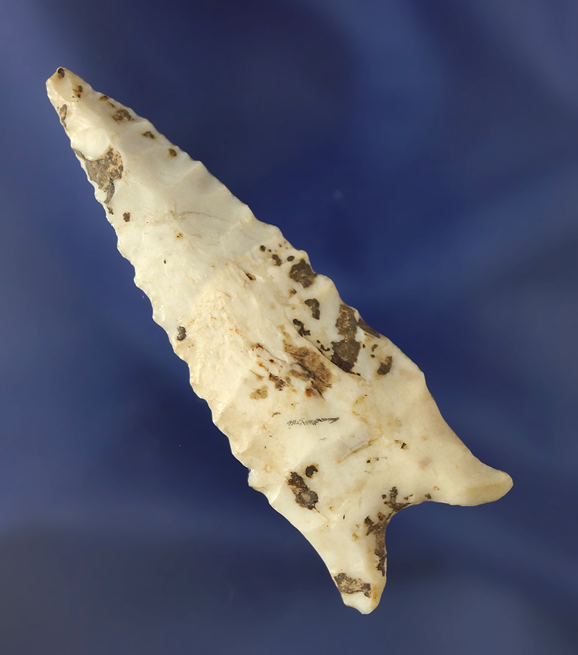 2 11/16" well flaked Dalton found in St. Francis Co.,  Missouri made from Burlington Flint.