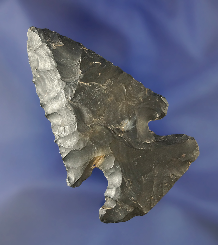 Nice wide base on this 3" Archaic Thebes Bevel found in Ohio.