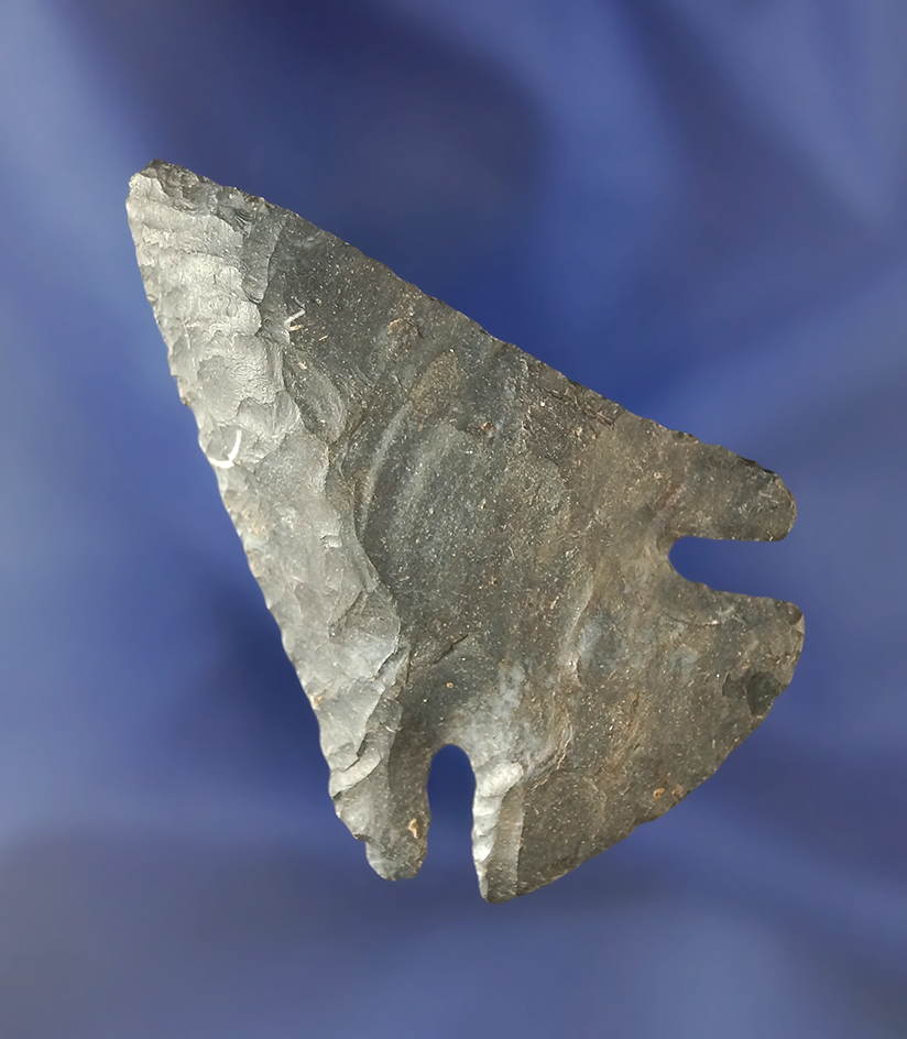2 7/16" nicely flaked Coshocton Flint Archaic Bevel found in Ohio.