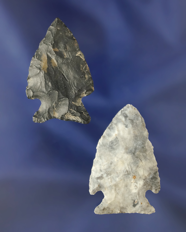 Nice pair of Coshocton Flint Intrusive Mound points found in Ohio. Largest is 1 9/16".