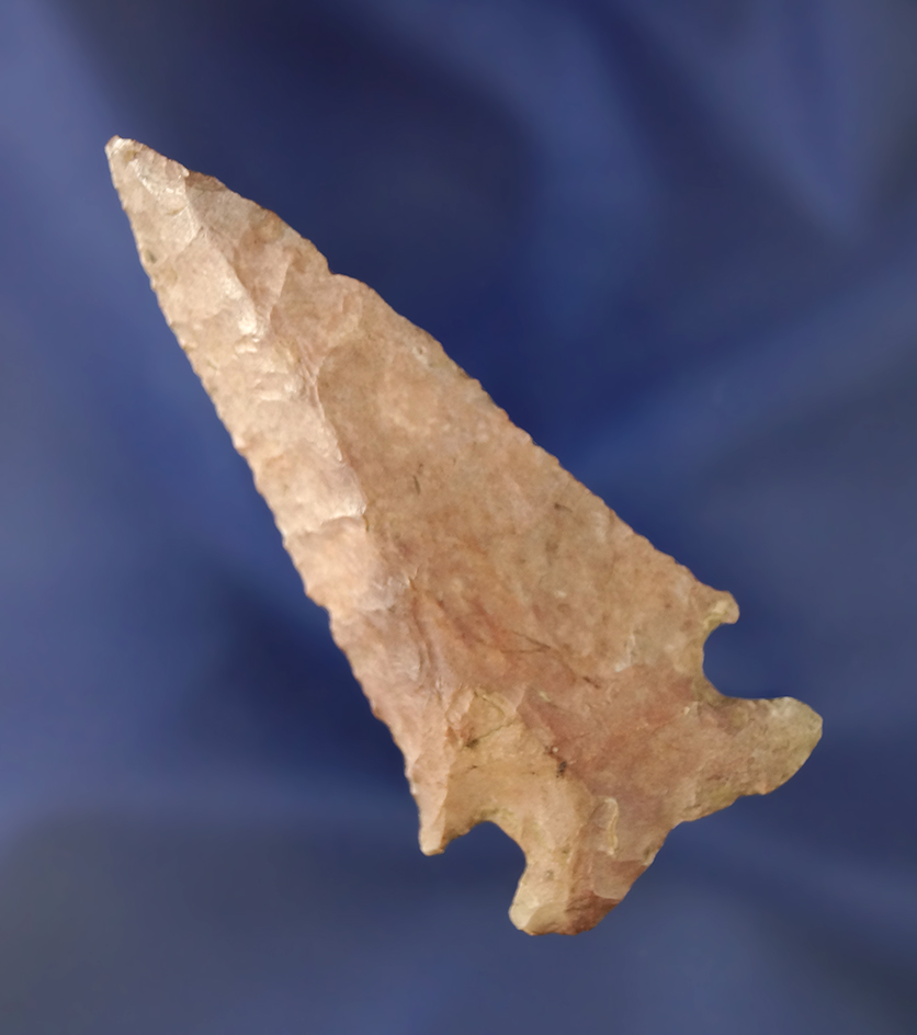 2 7/8" beautifully beveled Early Archaic Bevel.  Dickey COA.