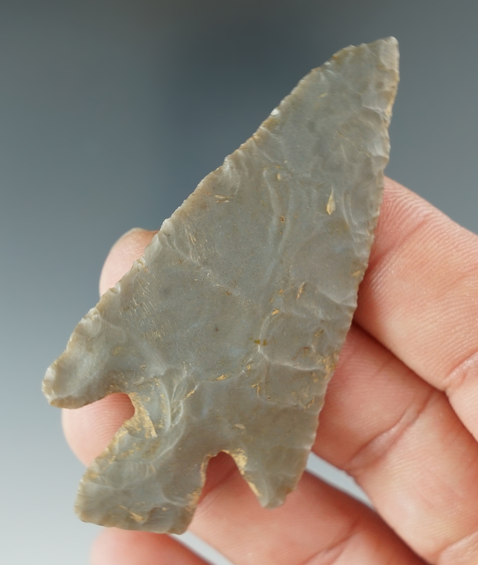 2 11/16" Hornstone Buck Creek found in Logan Co., Kentucky. From the collection of Wagner.