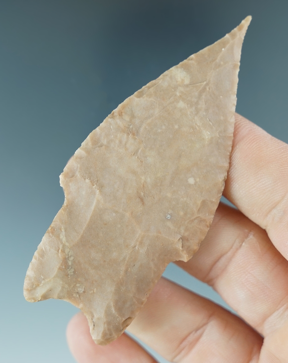 3 1/8" Pedernales found in Real Co., Texas. Comes with a Rogers COA.