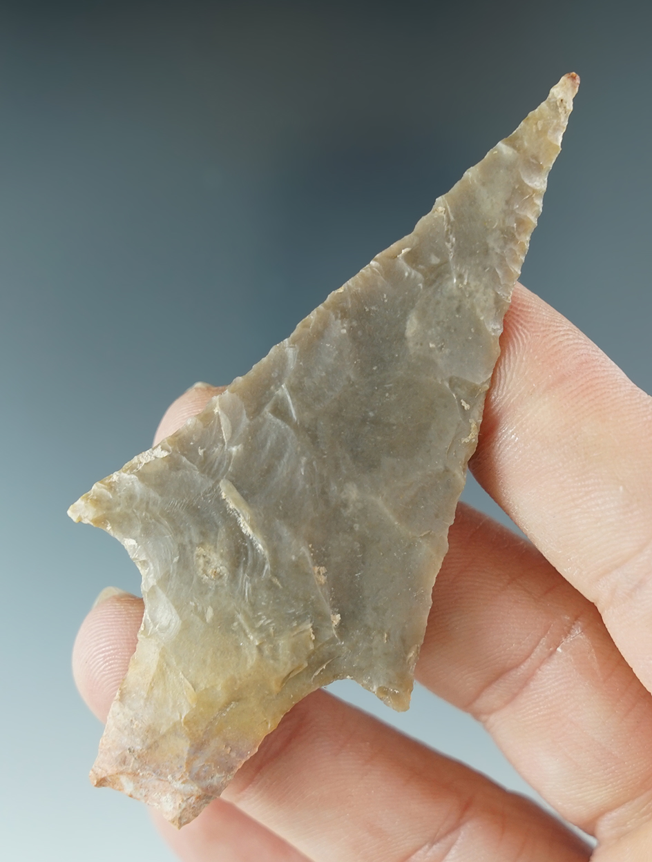 3 1/8" Langtry found in Real Co., Texas by James Terrell. Comes with a Rogers COA.