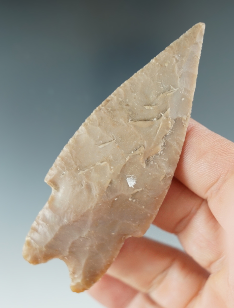 3 7/16" Pedernales made from brown Chert, found in Bandera Co., Texas. Rogers COA.