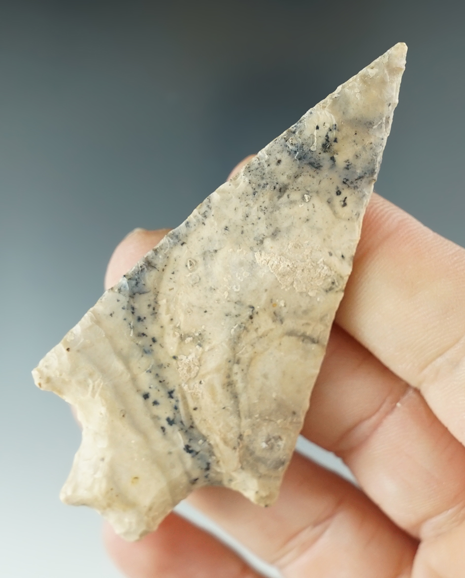 3 1/16" Pedernales made from tan and black Banded Chert. Williamson Co., Texas. Rogers COA.