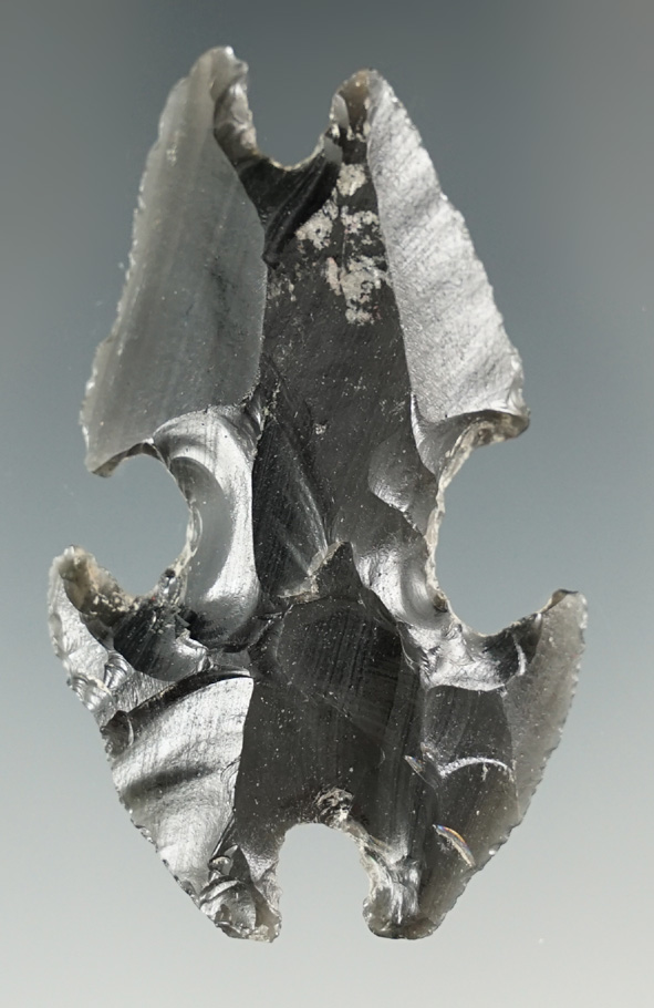 2 1/2" Mayan Obsidian Eccentric found in Belize. Ex. David Walley.