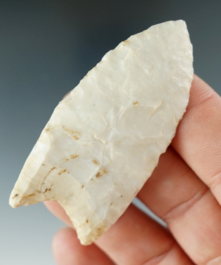 2 3/8" Paleo Fluted Clovis made from Burlington Chert. Found in Pike Co., Illinois. Perino COA.