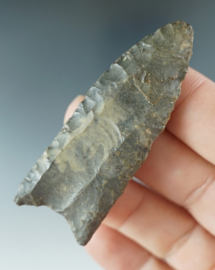 2 1/2" Fluted Clovis made from Edwards Chert, Harrison Co., Texas. Perino COA. Pictured!